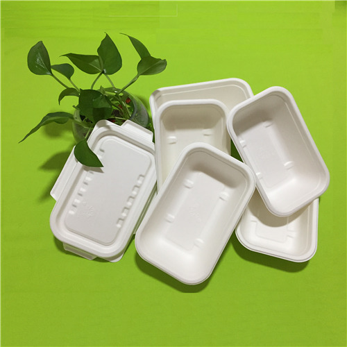 a bagasse étkészlet előnyei