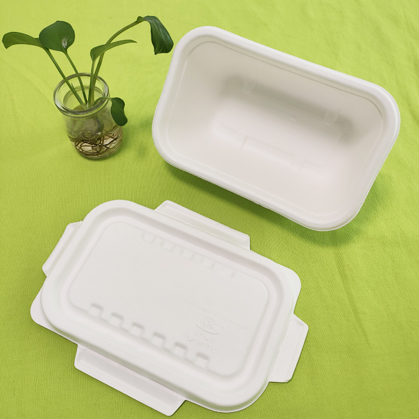 A Shenglin Packaging külkereskedelmi osztálya tudáscsere konferenciát szervezett a bagasse edényekről