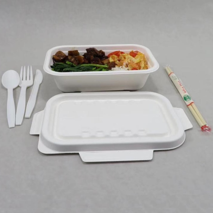 A Shenglin Packaging bagasse asztali edények megosztó konferenciája