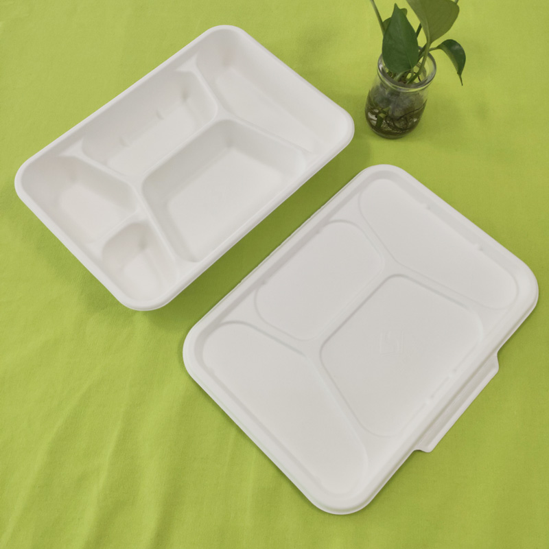 bagasse 5 rekeszes tálca fedéllel