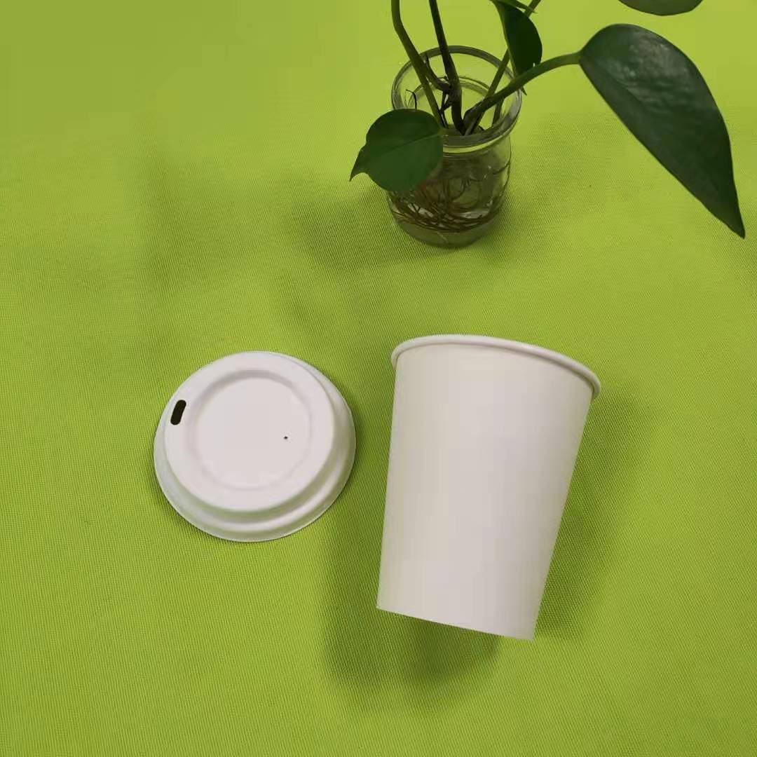 további információ a bagasse pép étkészletről
