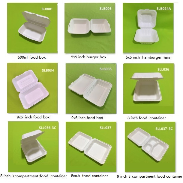 eco bagasse papír kagyló dobozok
