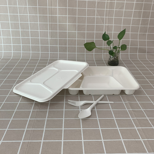 Eco bagasse élelmiszer dobozok rakodása