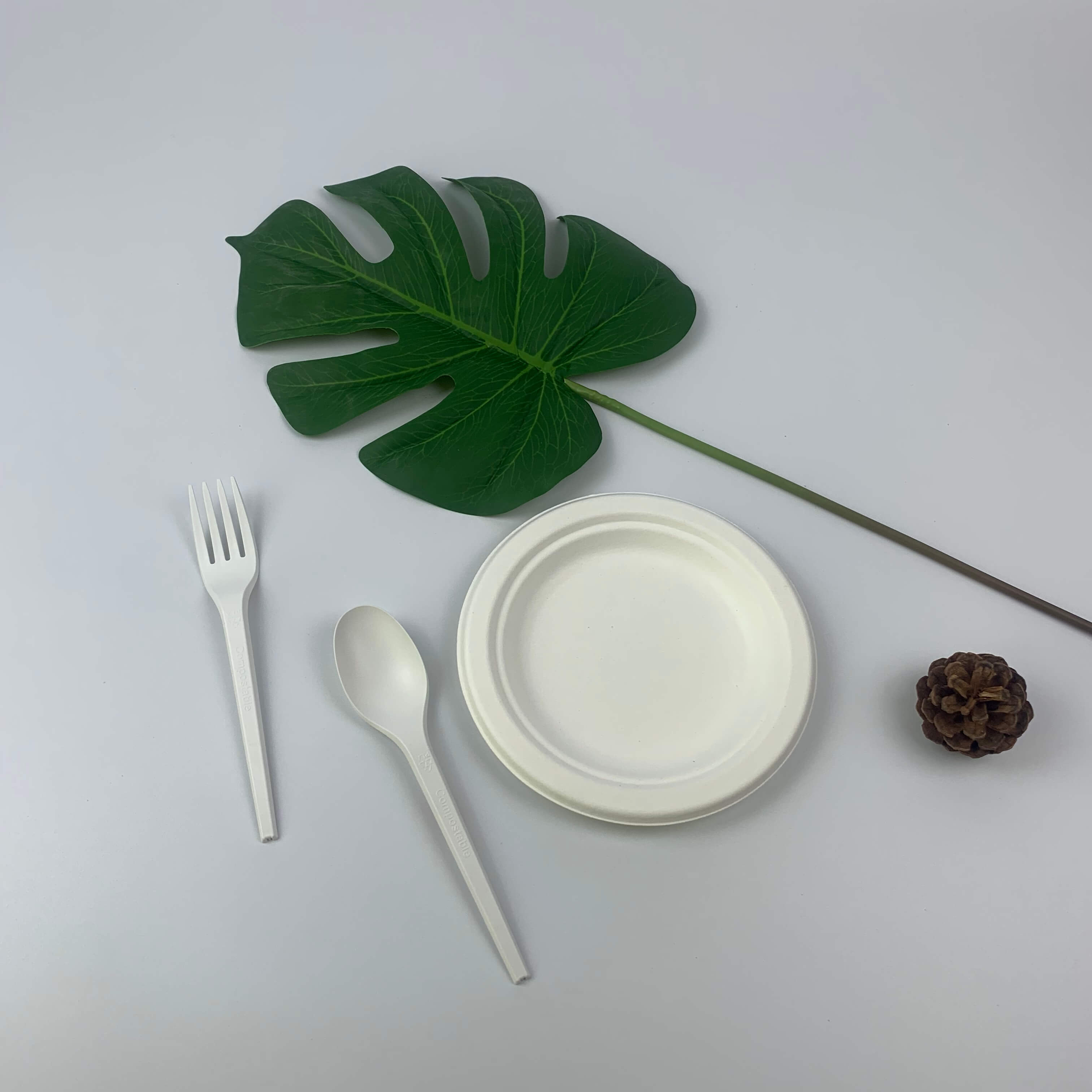 A bagasse-t környezetbarát anyagként használják