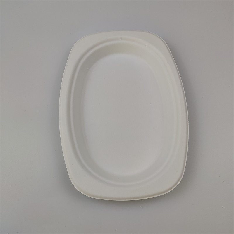 bagasse ovális tányér 9