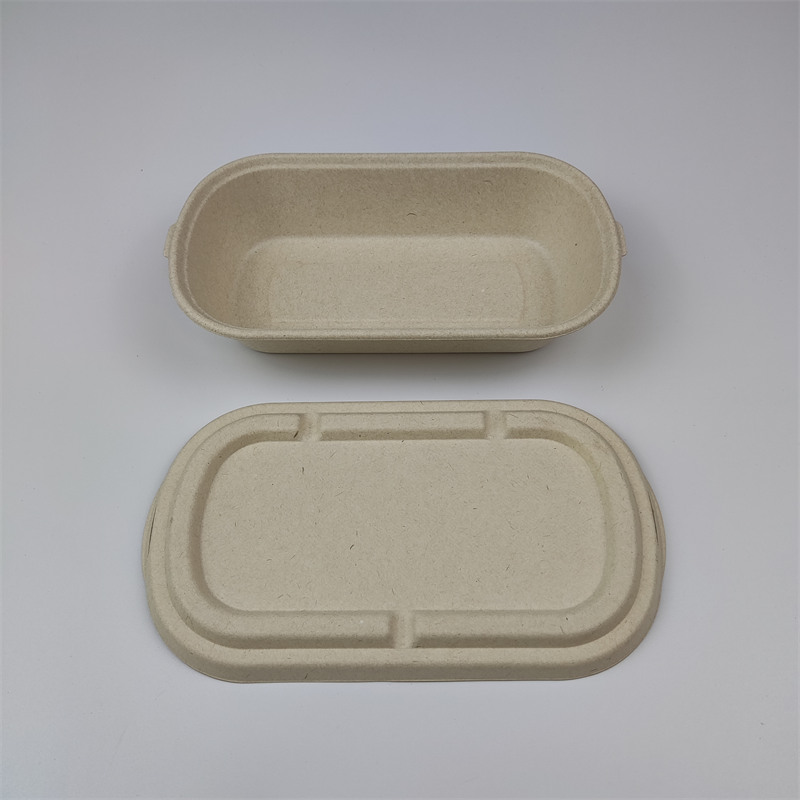 Bagasse csomagolás