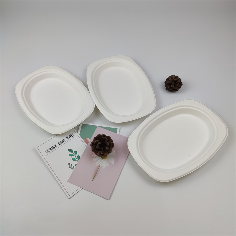 A Bagasse Pulp Products előnyei