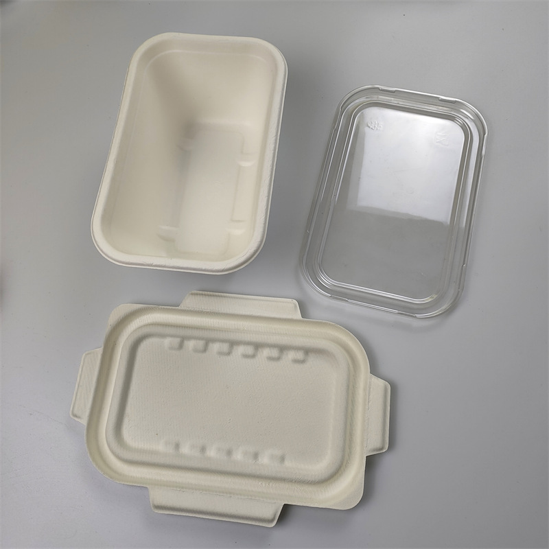 1000 ml-es téglalap alakú bagasse tartály
