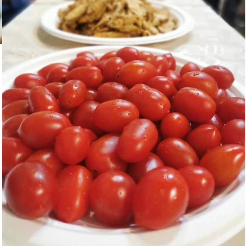 Fiber Pulp Bagasse étkészletek